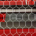 Galvanizzata recinzione del pollame mesh di filo esagonale
